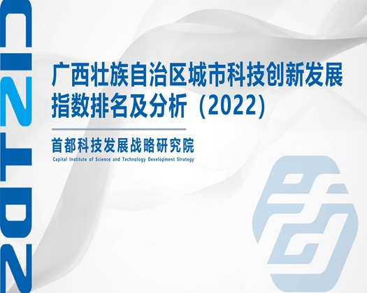 欧美裸体日bb【成果发布】广西壮族自治区城市科技创新发展指数排名及分析（2022）